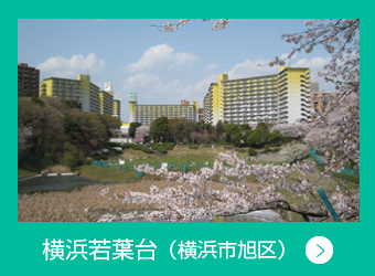 青葉台団地　横浜市旭区